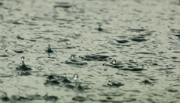 rain